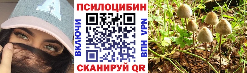 Галлюциногенные грибы GOLDEN TEACHER Ковров