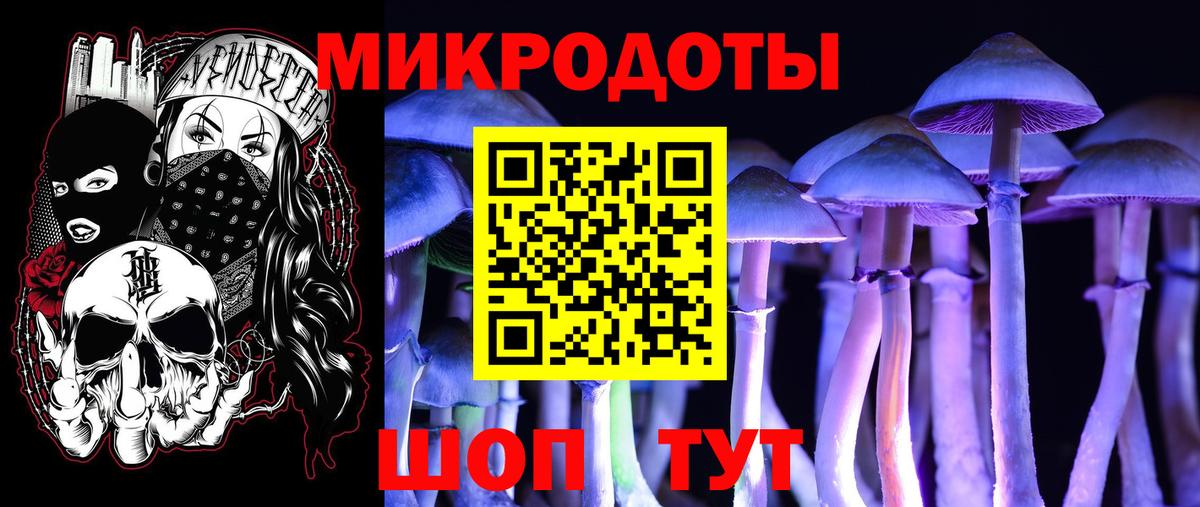 Ковров  Псилоцибиновые грибы ЛСД  купить   Псилоцибиновые грибы GOLDEN TEACHER  Вход с VPN 